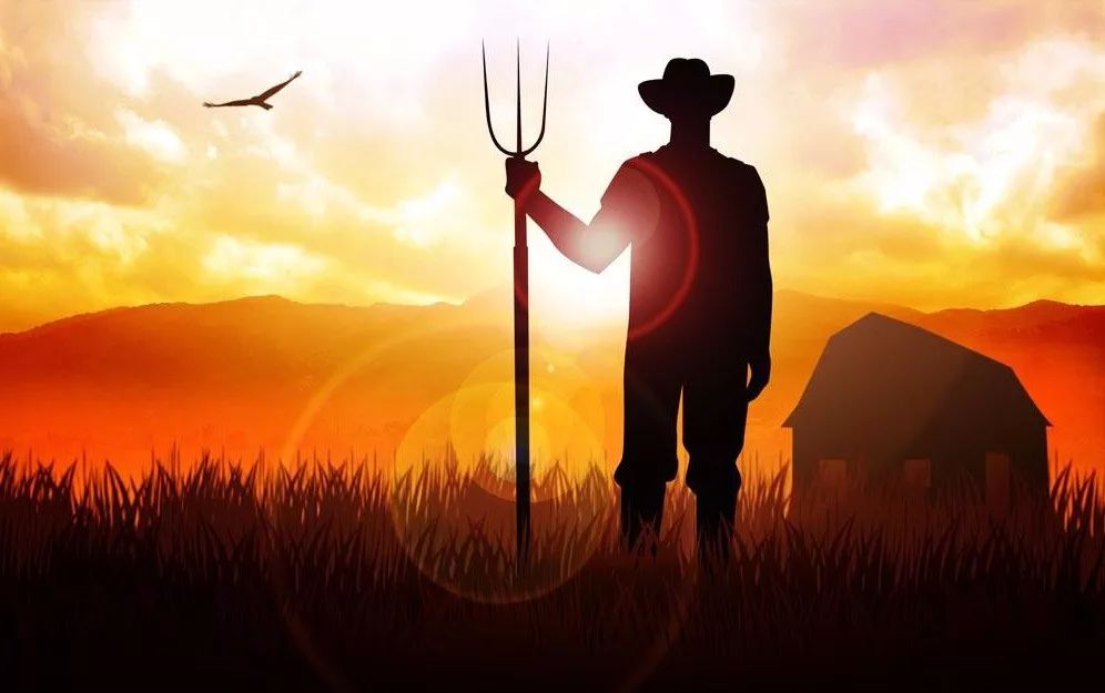 ��ηNֲ������������¼��l�l���@�Aʾ��ʲô