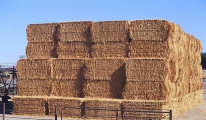 �a�I�u�ɚ��  ��I���I�lչ