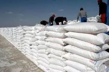 �P�c2017�������ИI����P�I�~