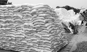 �l��ί��12���T������2018�괺���������a�����̓r�񷀶�����