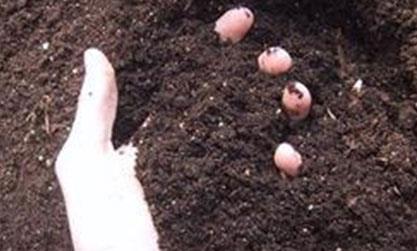 ������Ϯa(ch��n)�I(y��)�l(f��)չՓ���ھ����_