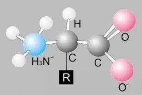 �㲻֪���İ���������ط��ϣ�