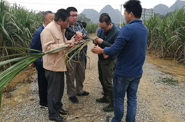 �V��ǧ�f(w��n)��������r·���������ʙC(j��)��(hu��)��(l��i)�ˣ�