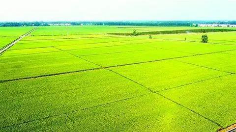 �r�Y����Ҫ����ʾ��������һ��Ҫ���׵Ďׂ��c ��