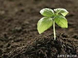 �Ї�δ�����ϰlչ�ؽ��������A��