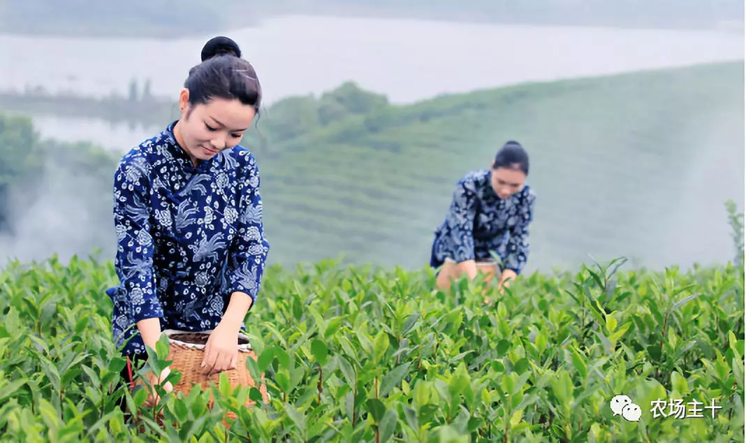 ��ҕ�������^�������������¼��g���³ɹ����׌������ޏ��c���t�r�I���δ�_�ȟ�