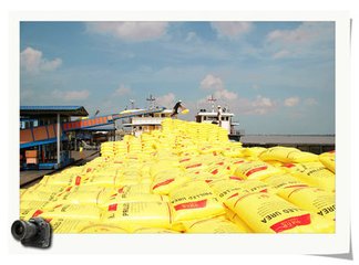 ���������������a(ch��n)���r����ϵ�y(t��ng)