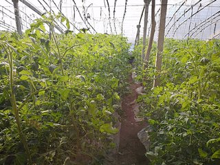 ɽ�|����ˮ��һ�w�������M���ʜp����Ч