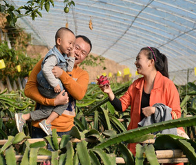 �ӱ�޻�ǅ^���О�ȫ���Oʩ�߲��ЙC���������ʾ���h