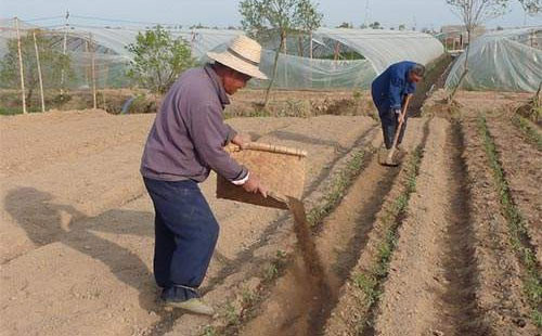 �ЙC������ǰ���V���Ʒ�|(zh��)�Ǯa(ch��n)�I(y��)�l(f��)չ�P(gu��n)�I