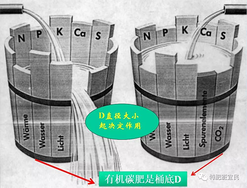 ��ֲ����Ǹ�ֲ����̼���䌍�����ЙC����