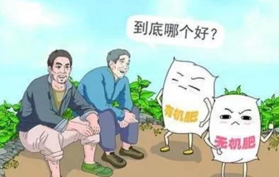 �ЙC�ʺͻ��ʵ��P(gu��n)ϵ�����Ǹ��������Ǻ�����