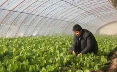 ����ʡ����(chu��ng)��6��(g��)���˲��ЙC(j��)���������ԇ�c(di��n)�h