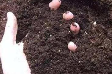 ��������Ⱦ������ʽ��ʩ���f�|�����ޏ��Ј������ص�������