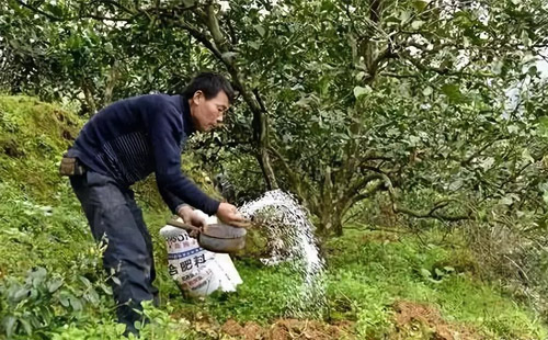 �ຣʡ�����Gɫ�ЙC�r��aƷʾ��ʡ ��2023���ЙC��ȫ���w