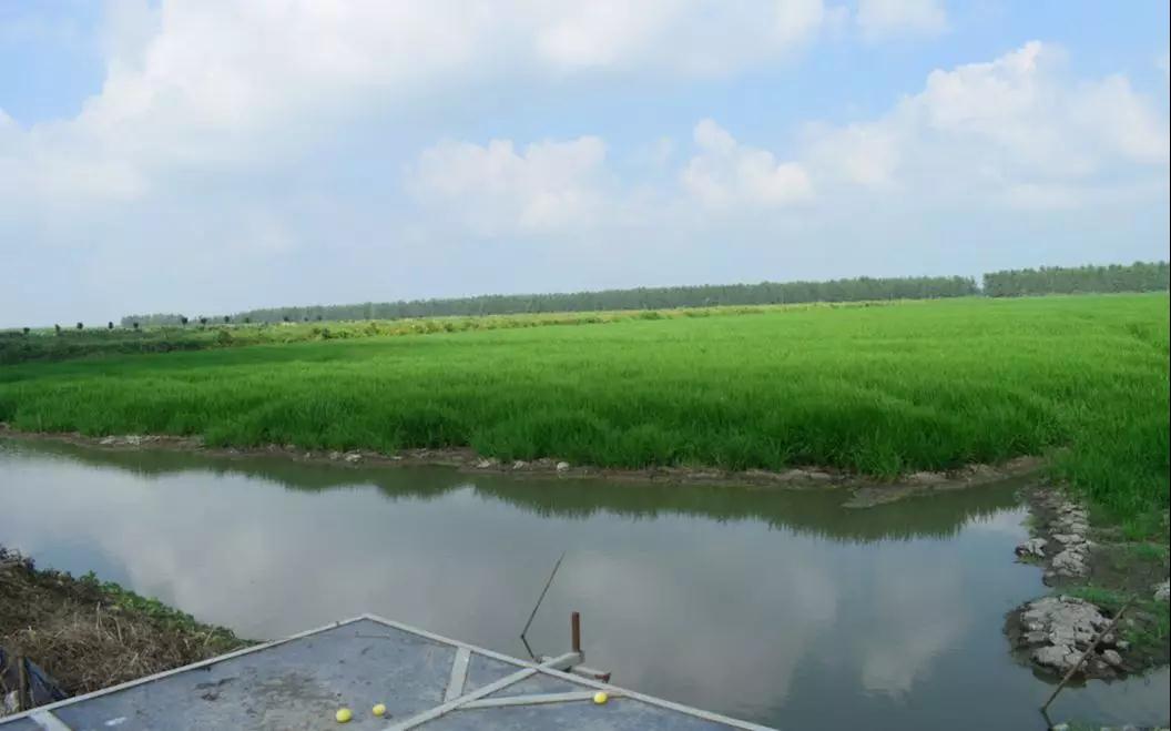 С���r���ȫ�����r���＃������ǧԪ���r�����Ј��ك|�������S�����л�ʷ�������Г��С���