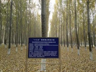 �˹������ܵι�ˮ��һ�w�����༼�g�wϵ���H�I��