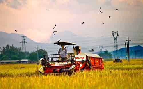 һ̖(h��o)�ļ��ذ��l(f��)������(du��)�����ИI(y��)��(hu��)�a(ch��n)����ЩӰ푣�