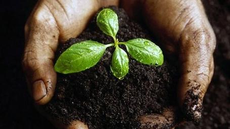 ���ͷ����ИI(y��)�l(f��)չѸ�� ���g��(chu��ng)�����@����