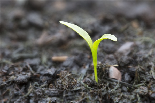 �ຣʡ���ӻ����rˎ�p����Ч�Є�