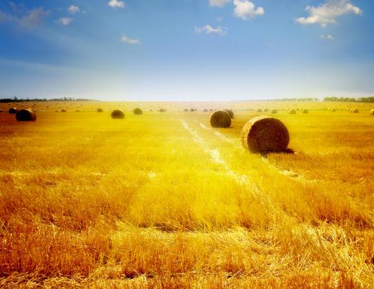 ������a17�f���ЙC�����a����Ͷ�a