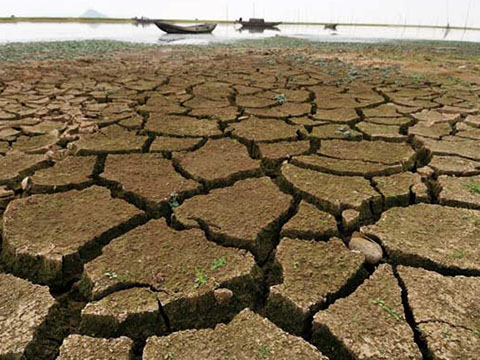 2019��һ������Ȼ��(z��i)���pʧ���_(d��)27.9�|�����O������l�����u�����r(n��ng)����Ծȣ�