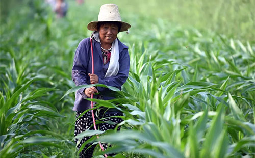 δ��ʮ�꣬�Ї��r�I�΄�չ��