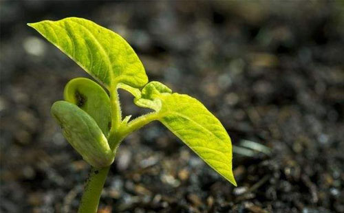 ΢�������2020������_��3000�f�����a�I�lչǰ���V�