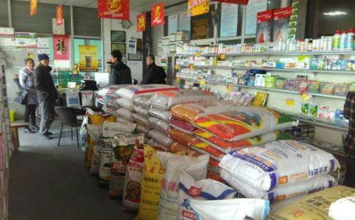 2019�껯���ИI���R��Щ���}��