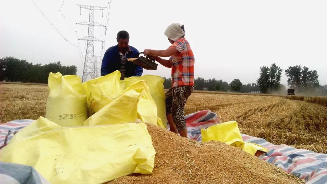 2019��9���Ї����ڻ���249�f�����M��111�f��