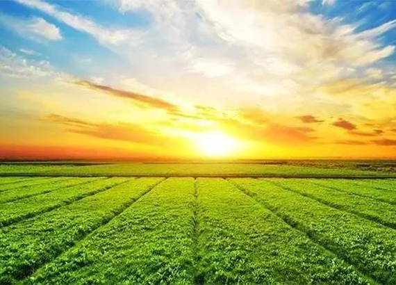 �T���͡��ИI�˜�ȱʧ ˮ�ܷʘ˜���ӆ��������