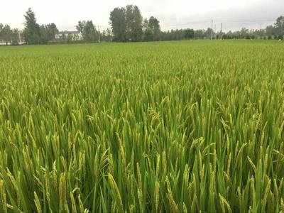 �㽭̽�����ʶ��~��