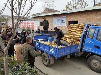 175���������M�ͽo����