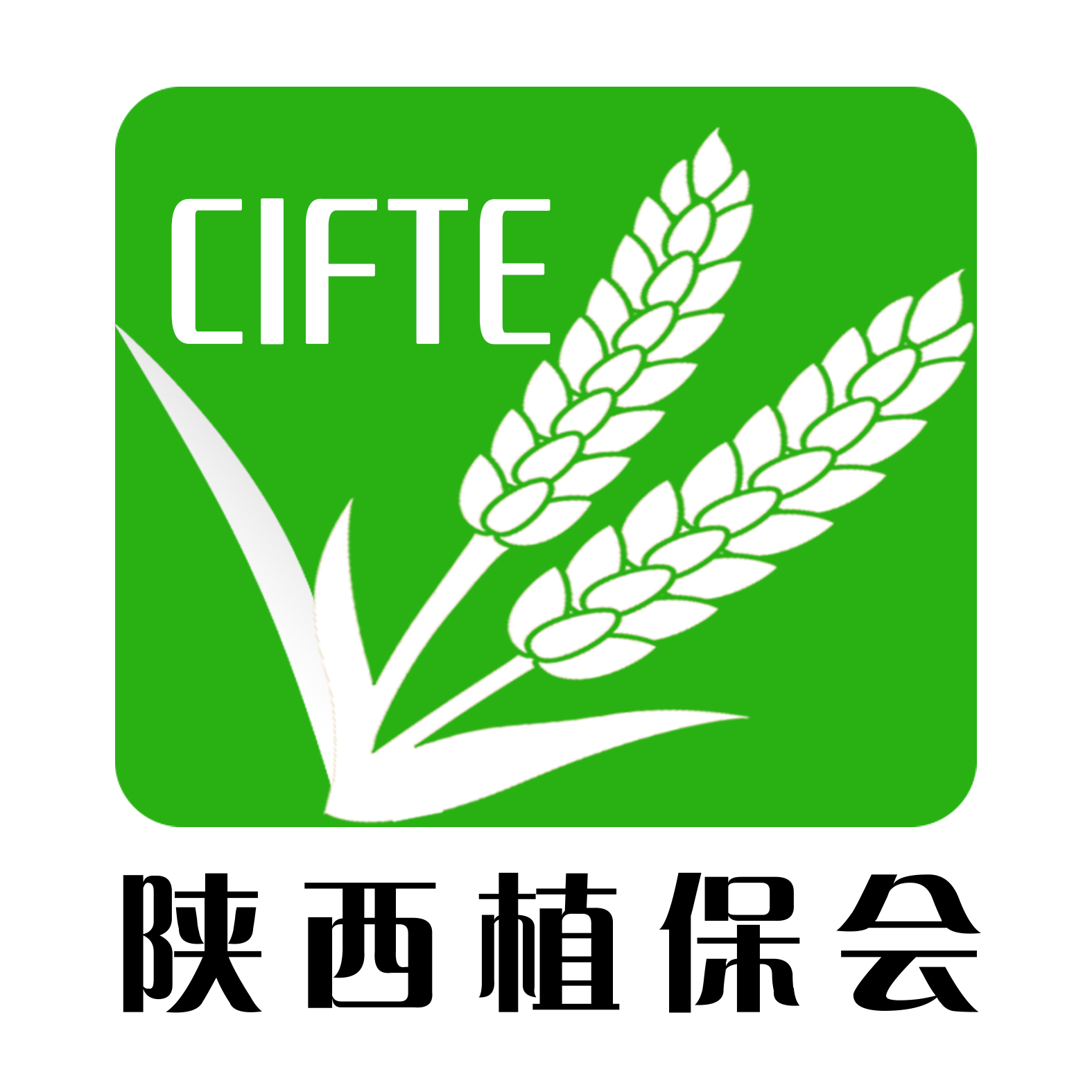 2020��ʮ�����ֲ����Ϣ�������rˎе���ו�