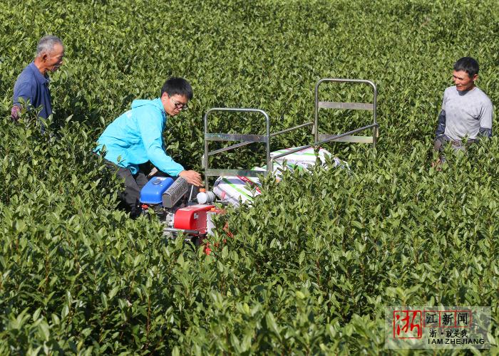 �㽭������׌�ЙC�����ϡ���@�p