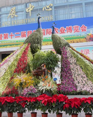 ��ʮ�����r(n��ng)����(hu��)���m�_Ļ 15�҅�չ��I(y��)��ؚ������ٛ(z��ng)251���ЙC(j��)��