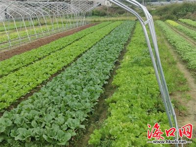 �r(n��ng)�I(y��)���|(zh��)���l(f��)չ���������˲��ЙC(j��)��������ʵġ��Ӝp����