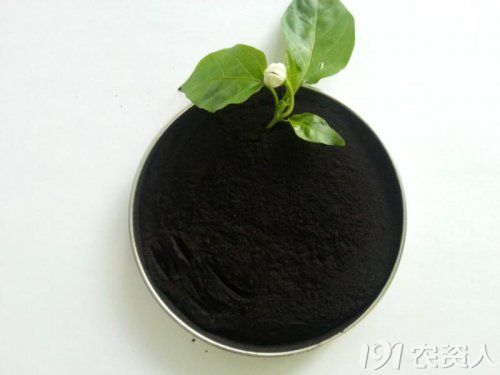 ���fί�T�R�����������ƏV�ЙC�����a ���M�����I�Gɫ�lչ