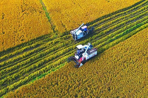 �������ʱ������r ɽ�|18���T�ϰl��