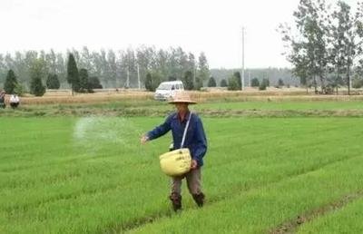 ���������ᳫ�h(hu��n)���ͻ��� �����r(n��ng)�I(y��)���a(ch��n)