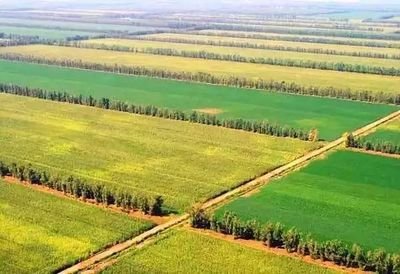 ���ɹ���ԭ�h�_չ���ͷ���Ʒ��ԇ� �������ʜp����Ч