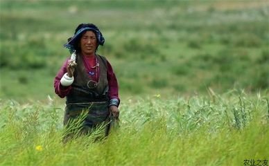 �����������΅^���ƏV���f���߮a������Ʒ�N