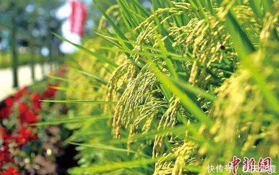 �χ��Q�¹���������lһЩ���Һ͵؅^�ZʳΣ�C