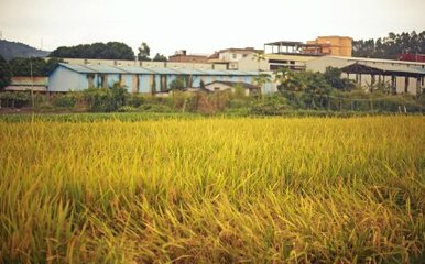 �r�I�r�岿�������҇��ֵ������܃���Ӱ푿��w����