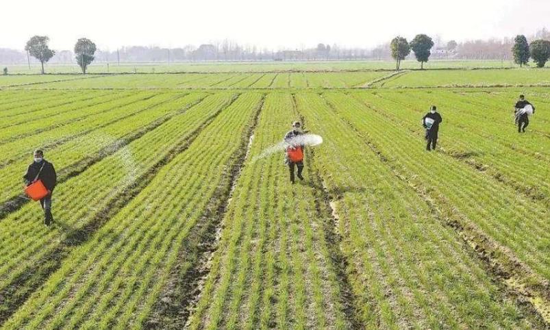 2020��4���Ї��r(n��ng)�a(ch��n)Ʒ�����΄ݷ���