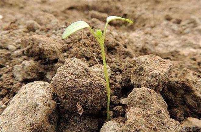 4��14�����@һ�؅^(q��)�_ʼ���ƻ���ʹ�ã�ȫʡ���M��