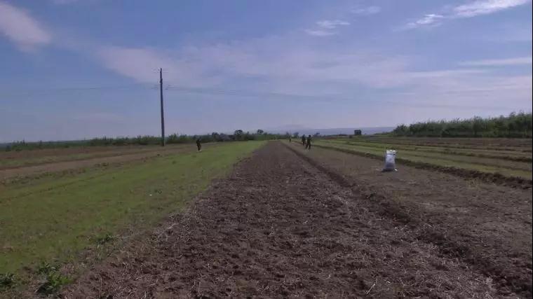 2020����½�ӡ�l(f��)�y(c��)���䷽ʩ���J(r��n)����I(y��)