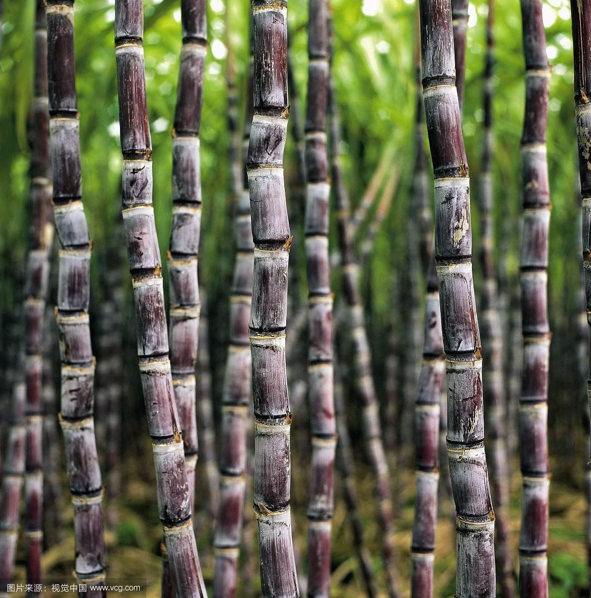 ���ᑪԓ����ʩ�ʣ�����ʩ��Ҫ�c�c���g��