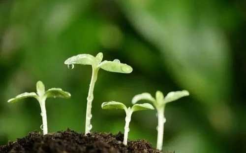 ���Kʡӡ�l2020��ǧ���f�����󻯷ʜp����Ч�Єӷ���