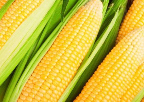 �����ƏV���rʳ���ף���݆���ƣ��r��������p���ơ�